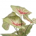 Decoratieve plant Rood Groen PVC 40 x 35 x 55 cm