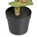 Decoratieve plant Rood Groen PVC 40 x 35 x 55 cm