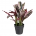 Dekorativ Plante 44 x 39 x 48 cm Rosa Grønn PVC