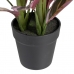 Dekorativ plante 44 x 39 x 48 cm Pink Grøn PVC