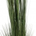 Plantă decorativă 44 x 48 x 200 cm Verde Crem PVC