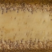 Pladenj za prigrizke 41 x 16 x 3 cm Aluminij Bronasta