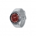 Montre intelligente Samsung SM-R955FZSAEUE                  Gris Argenté Oui 43 mm