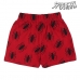 Pijama Infantil Spider-Man Gri