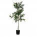 Decoratieve plant Versa Metaal Plastic Cement 41 x 122 x 43 cm