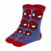 Calzini Spider-Man 3 paia