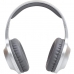 Auriculares Panasonic RBHX220BDES Plateado