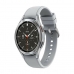 Smartwatch Samsung SM-R895FZSAPHE 1,4