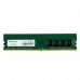 RAM-hukommelse Adata 32 GB DDR4 DDR4-SDRAM CL22