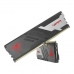 RAM atmintis Patriot Memory PVV532G640C32K 32 GB