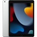 Läsplatta Apple iPad Silvrig 256 GB