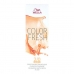 Vidēji Noturīga Tinte Color Fresh Wella 8005610584386 Nº 2/0 (75 ml)