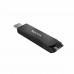 Memorie USB SanDisk SDCZ460-256G-G46