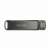 Memorie USB   SanDisk SDIX70N-256G-GN6NE         Negru 256 GB (1 Unități)