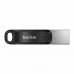 Ključ USB SanDisk SDIX60N-256G-GN6NE Siva 256 GB