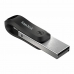 USB-minne   SanDisk SDIX60N-128G-GN6NE         Svart Grå 128 GB