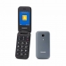 Telefon Mobil Panasonic KXTU400EXG Gri