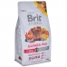 Fodder Brit Apple Corn Carrot Guinea pig Rabbit 300 g