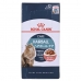 Mâncare pentru pisici Royal Canin Hairball Care Gravy Carne 12 x 85 g