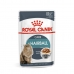 Kačių maistas Royal Canin Hairball Care Gravy Mėsa 12 x 85 g