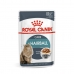 Mâncare pentru pisici Royal Canin Hairball Care Gravy Carne 12 x 85 g