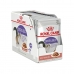 Mâncare pentru pisici Royal Canin Feline Sterilised in Sosse Carne 12 x 85 g