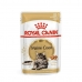 Mâncare pentru pisici Royal Canin RC POS musthave Carne 12 x 85 g