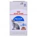 Γατοτροφή Royal Canin Indoor Sterilized Κρέας 12 x 85 g