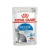 Kattmat Royal Canin Indoor Sterilized Kött 12 x 85 g