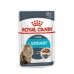 Kačių maistas Royal Canin Urinary Care Daržovė 85 g