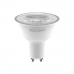 Lampe LED Yeelight YLDP004-4pcs Blanc Oui 80 GU10 350 lm