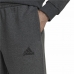 Dlhé športové nohavice Adidas Essentials Tamno sivo Moški