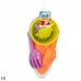 Strandspeelgoedset Colorbaby 7 Onderdelen Boot Polypropyleen (24 Stuks)