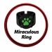 Kostiumas vaikams Miraculous: Tales of Ladybug & Cat Noir Transformation Set - Cat Noir 4 Dalys Juoda Spalvotas