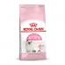 Kattemat Royal Canin Kitten Fugler 2 Kg