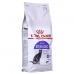 Comida para gato Royal Canin Sterilised Adulto Arroz Maíz Aves 2 Kg