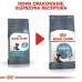 Jídlo pro kočku Royal Canin Hairball Care Dospělý Kuře 400 g