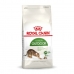 Macska eledel Royal Canin Outdoor Felnőtt Csirke 2 Kg