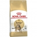 Jídlo pro kočku Royal Canin Bengal Adult Dospělý Rostlinný Ptáci 2 Kg