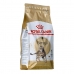 Comida para gato Royal Canin Bengal Adult Adulto Vegetal Aves 2 Kg