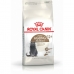 Comida para gato Royal Canin Senior Ageing Sterilised 12+ Milho Vegetal Pássaros Sénior 4 Kg