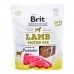 Gustare pentru câini Brit Lamb Protein bar Carne de oaie 200 g