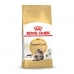 Kattenvoer Royal Canin Maine Coon Adult + 1 Jaar Volwassen Vogels 10 kg