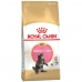 Comida para gato Royal Canin Maine Coon Kitten Arroz Pássaros 2 Kg