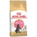 Mâncare pentru pisici Royal Canin Maine Coon Kitten Păsări 2 Kg