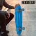 Skateboard Colorbaby Azzurro (2 Unità)