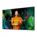 Moniteur Videowall Samsung QB50C 4K Ultra HD 50