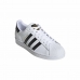 Мужские спортивные кроссовки Adidas Originals Superstars Белый
