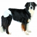 Bleier Trixie M Hund