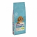 Pienso Purina Cachorro/Junior Cordero 14 Kg